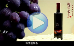 葡萄酒产品宣传片-南京三维动画制作公司