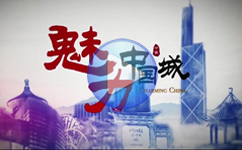 旅游城市形象介绍-南京三维动画制作公司